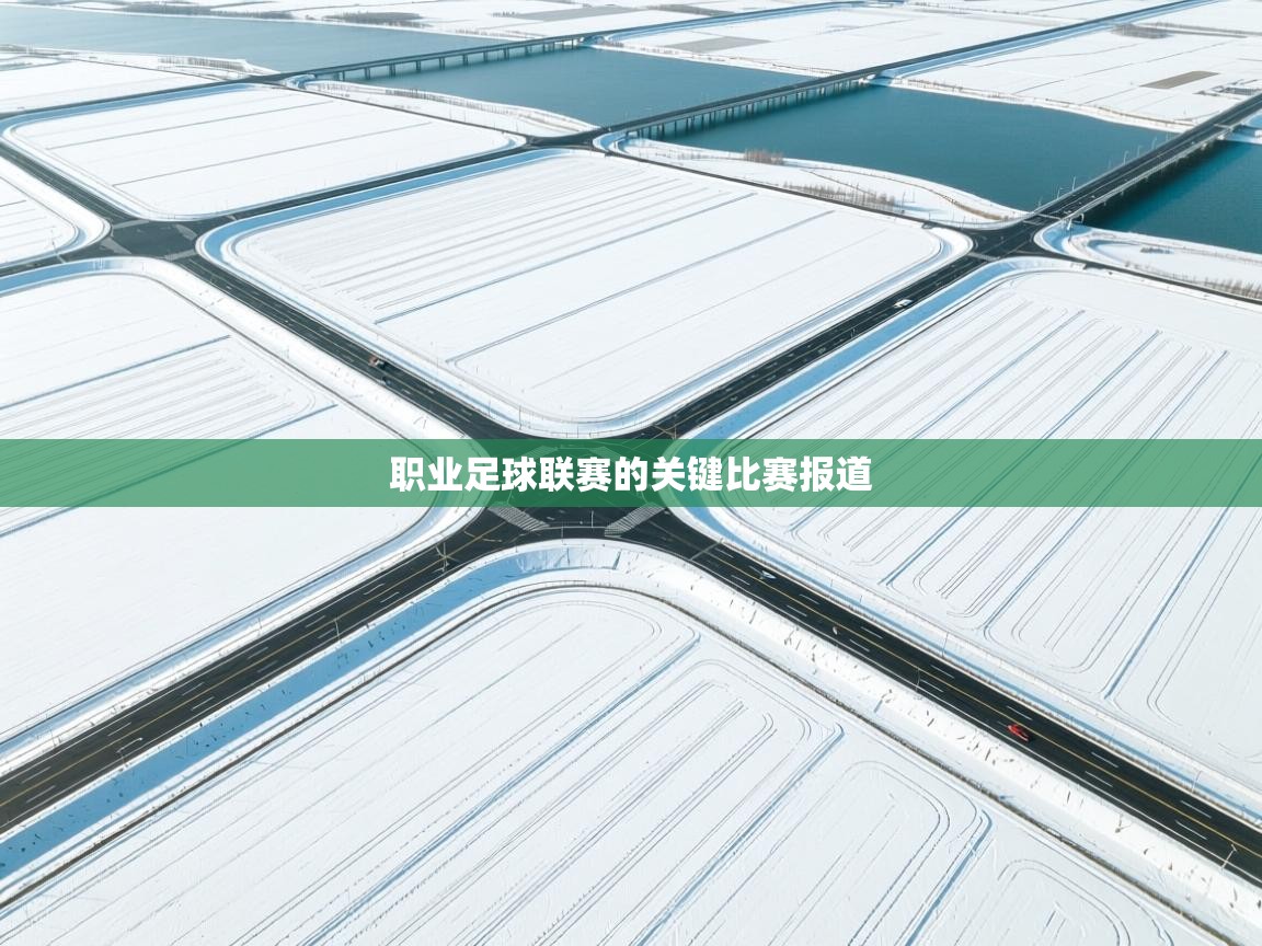 职业足球联赛的关键比赛报道 第1张