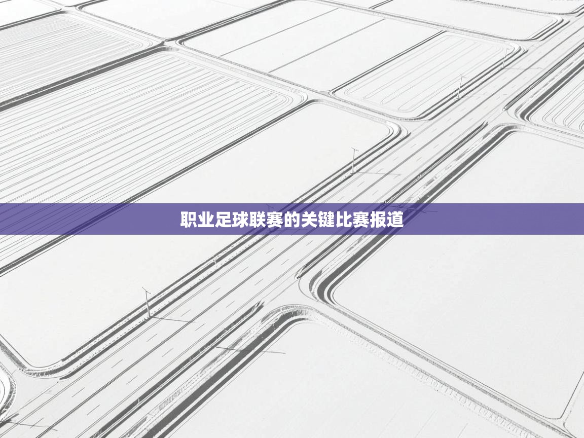 职业足球联赛的关键比赛报道 第2张