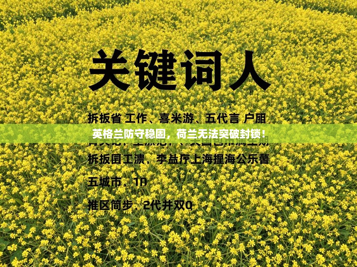 英格兰防守稳固，荷兰无法突破封锁！