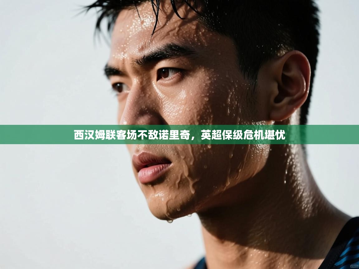 西汉姆联客场不敌诺里奇，英超保级危机堪忧