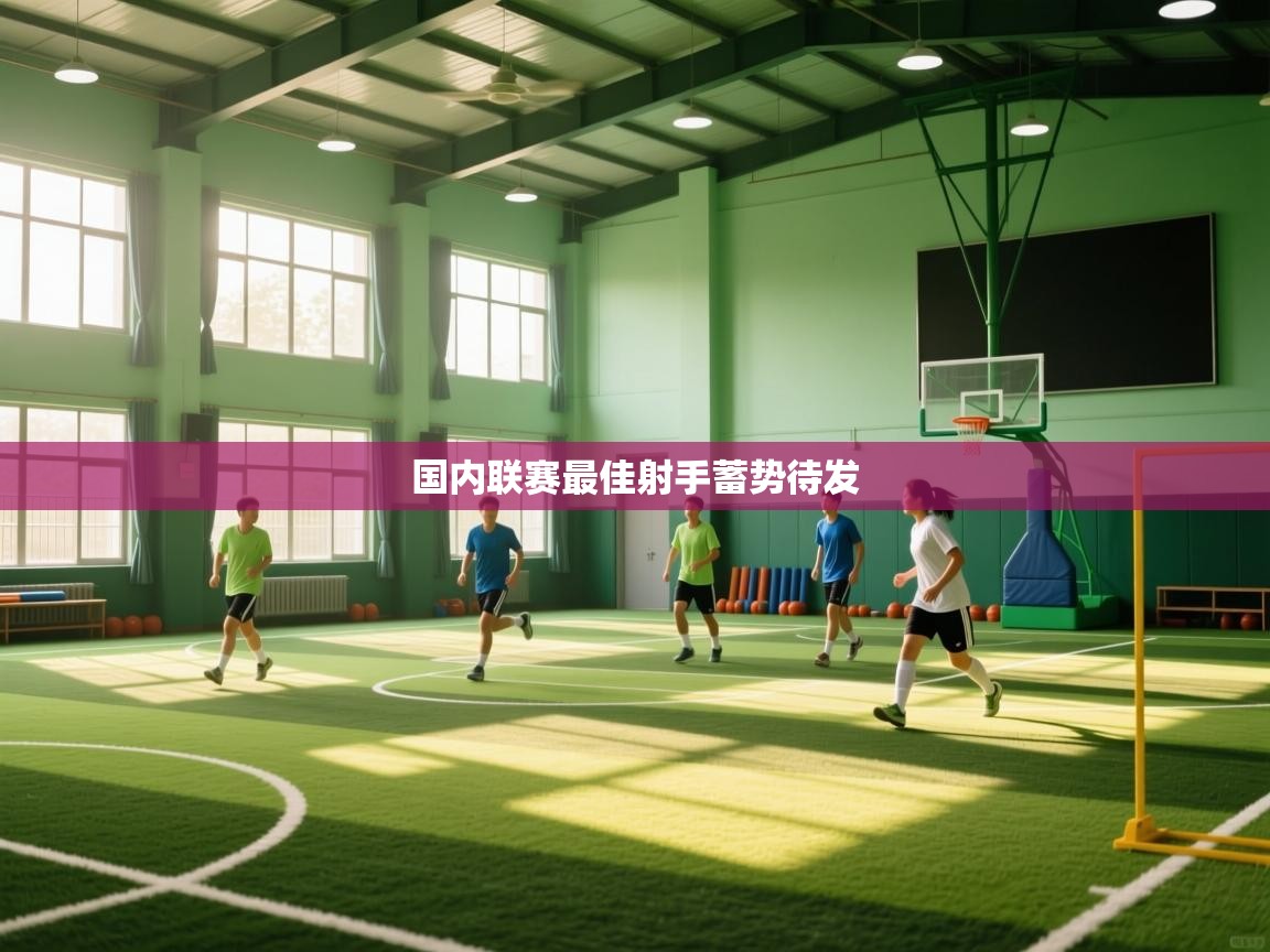国内联赛最佳射手蓄势待发