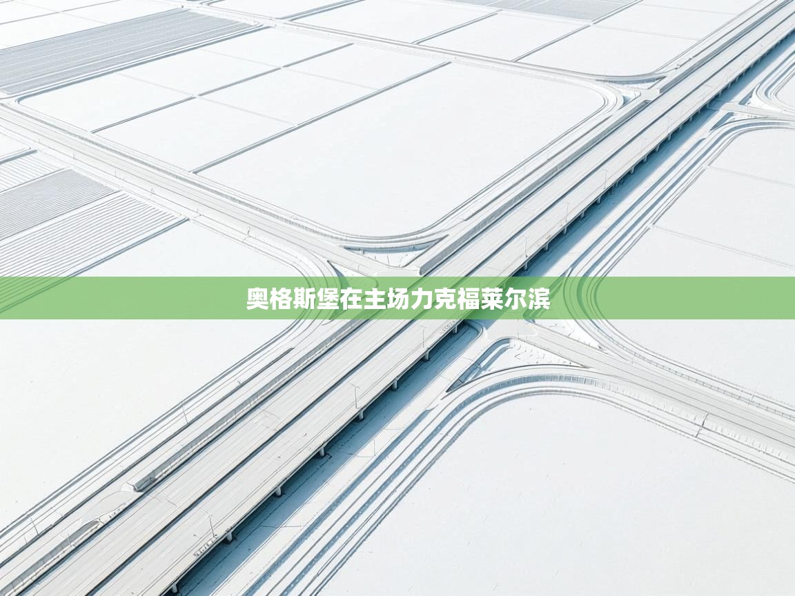 奥格斯堡在主场力克福莱尔滨  第1张