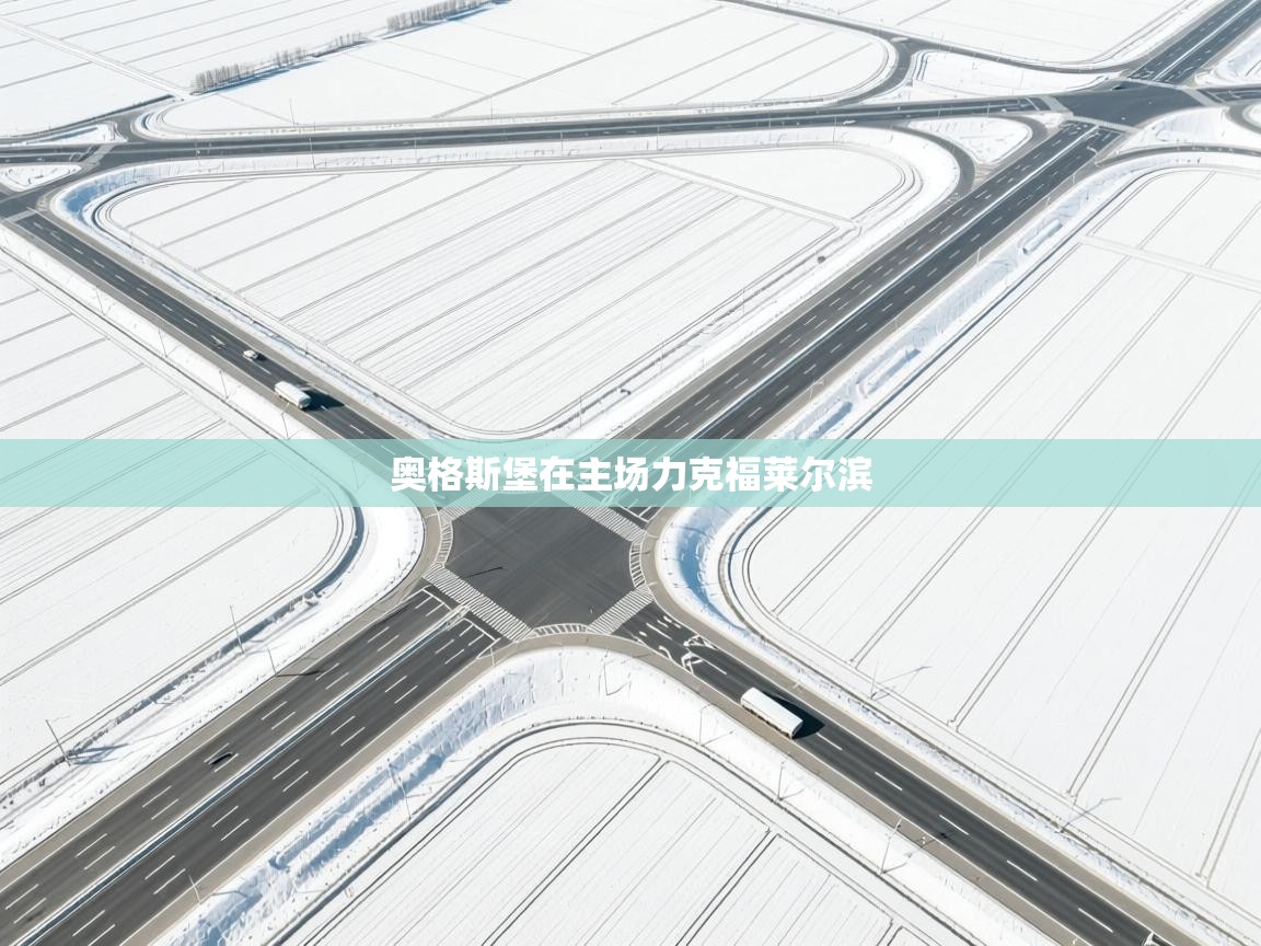 奥格斯堡在主场力克福莱尔滨  第2张