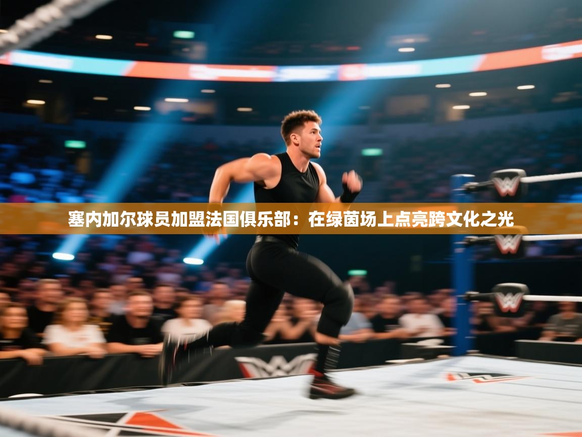 塞内加尔球员加盟法国俱乐部：在绿茵场上点亮跨文化之光