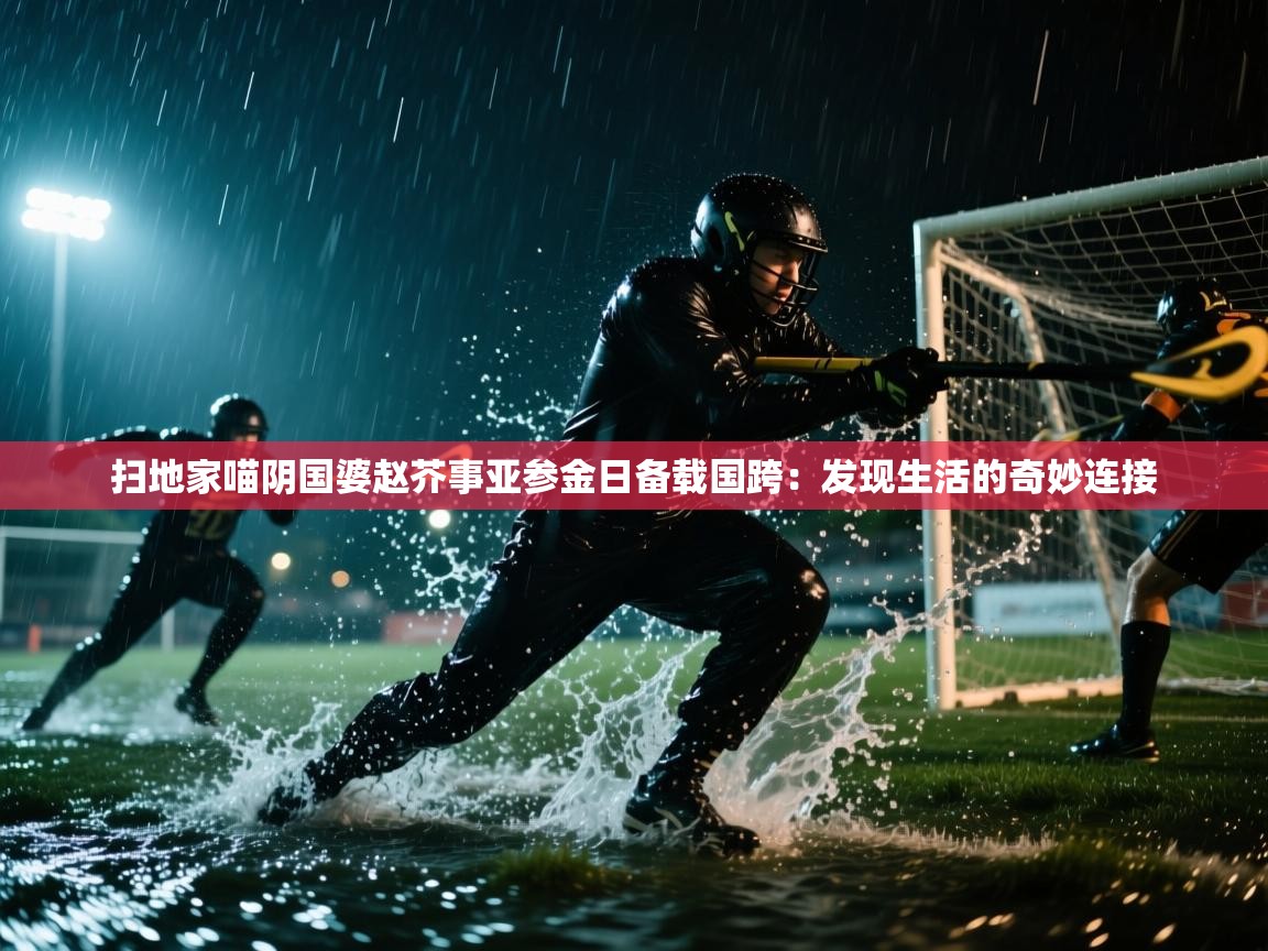 扫地家喵阴国婆赵芥事亚参金日备载国跨：发现生活的奇妙连接